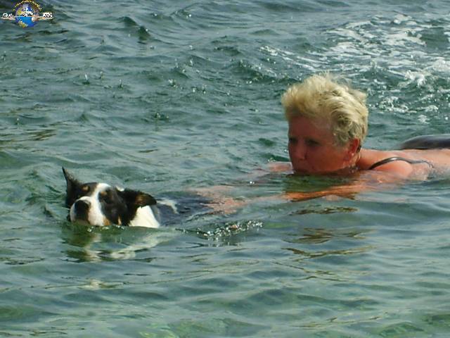 Bild