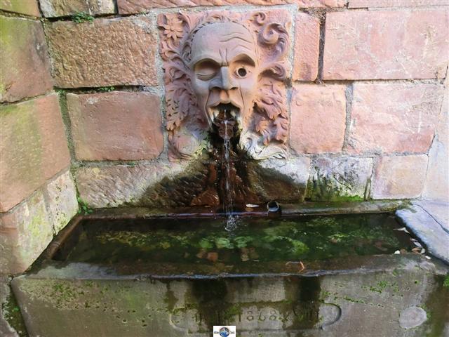 Bild