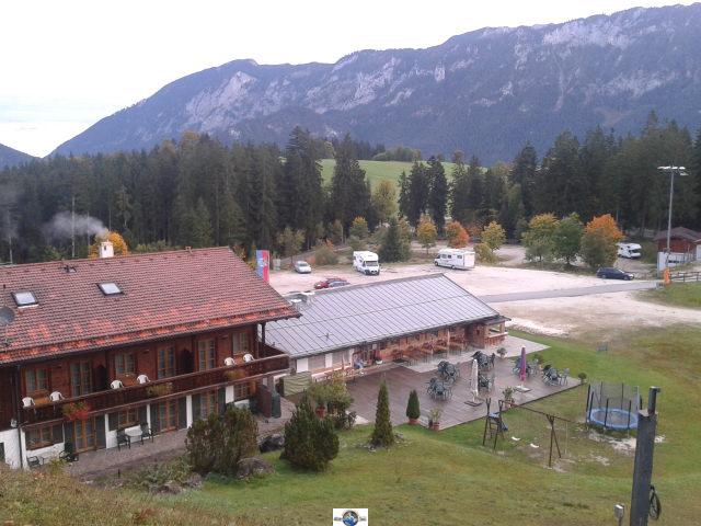 Bild