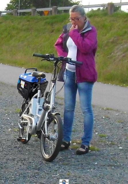 Bild