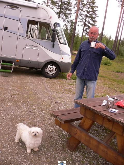 Bild