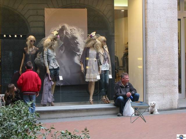 Bild