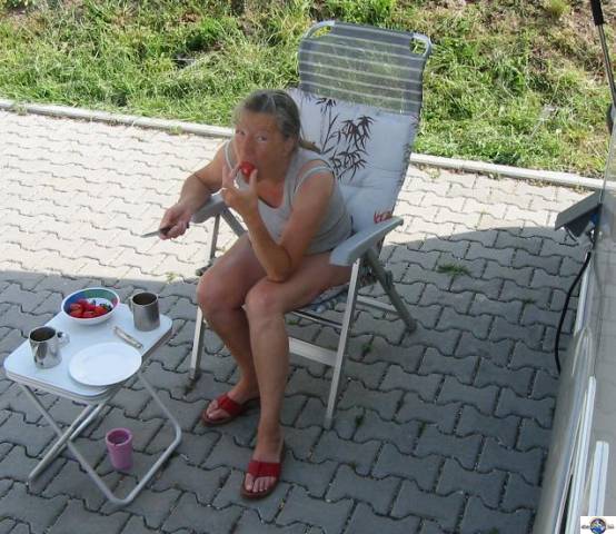 Bild
